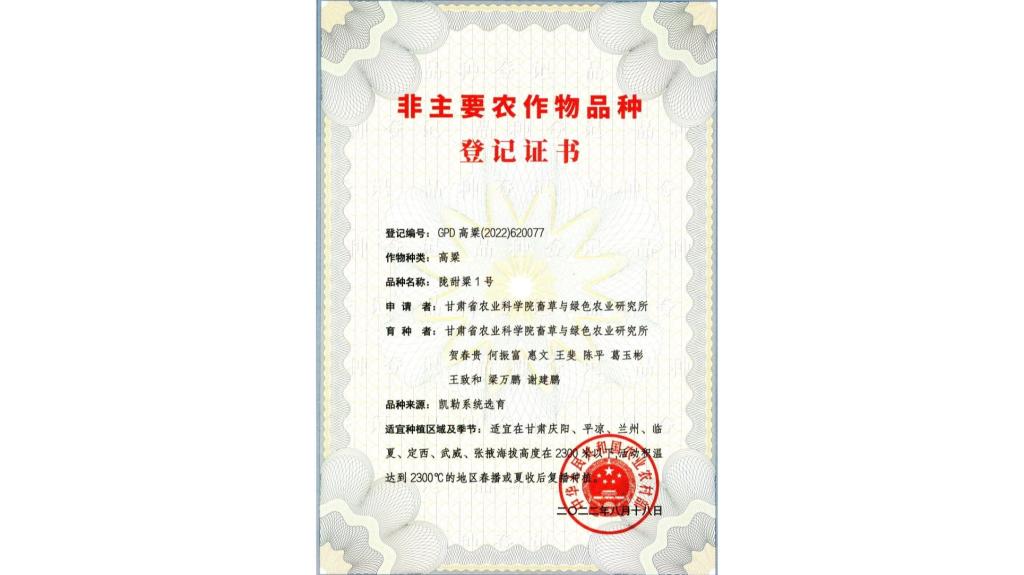 甜高粱新品種-隴甜粱1號
